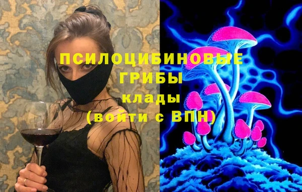 мдма Богданович